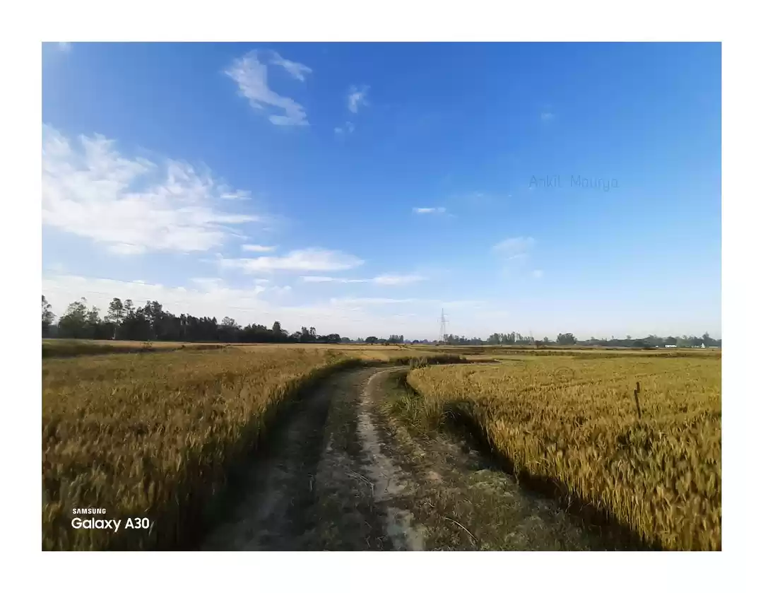 Photo of Rural India : Temple