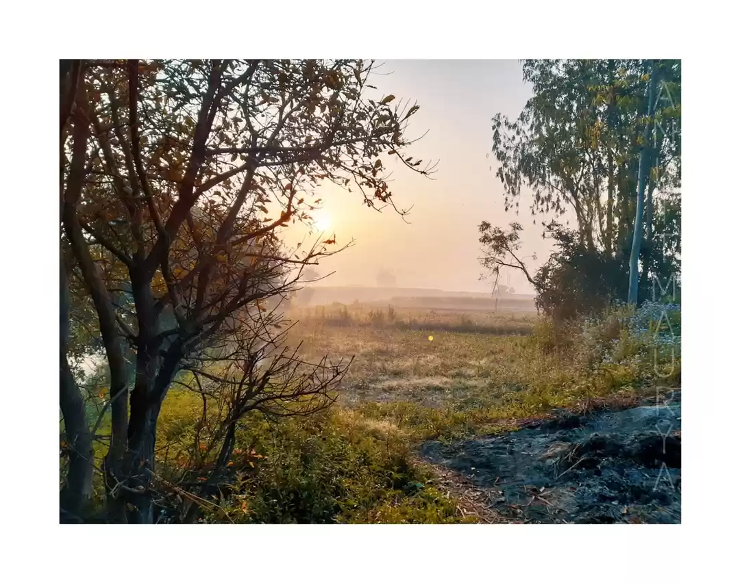 Photo of गाँव में सूर्योदय #s