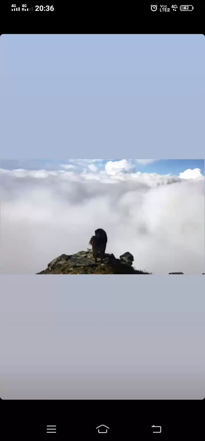 Photo of A trip to peak