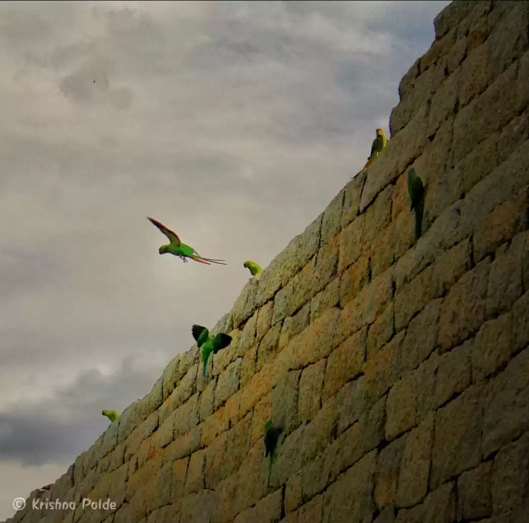 Photo of Ancient Pattern