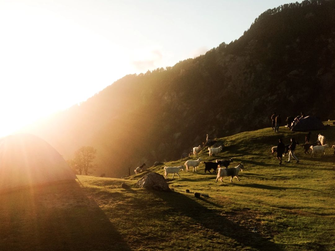 Photo of Triund trek: My firs
