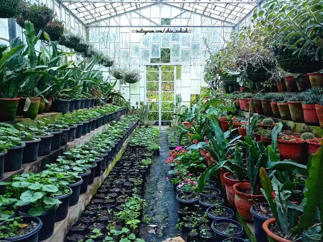 Photo of FREE THINGS TO DO IN