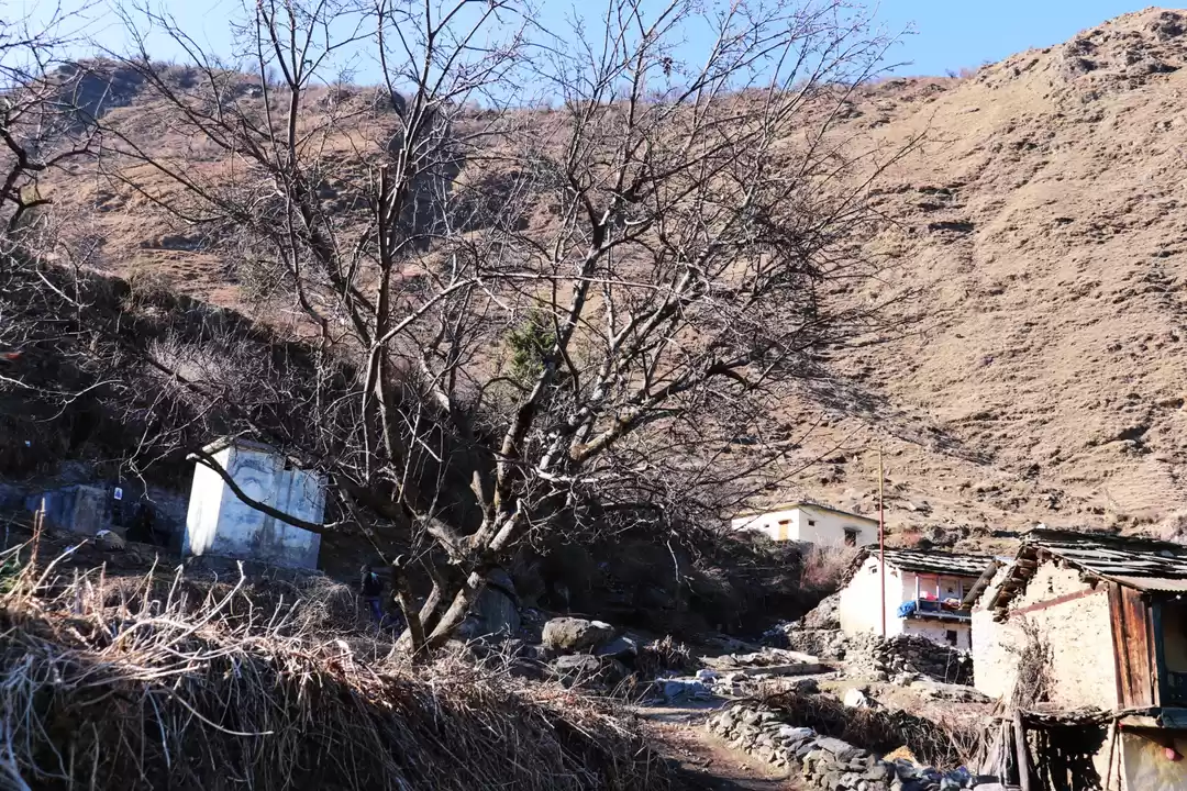 Photo of Entering the Nirvana