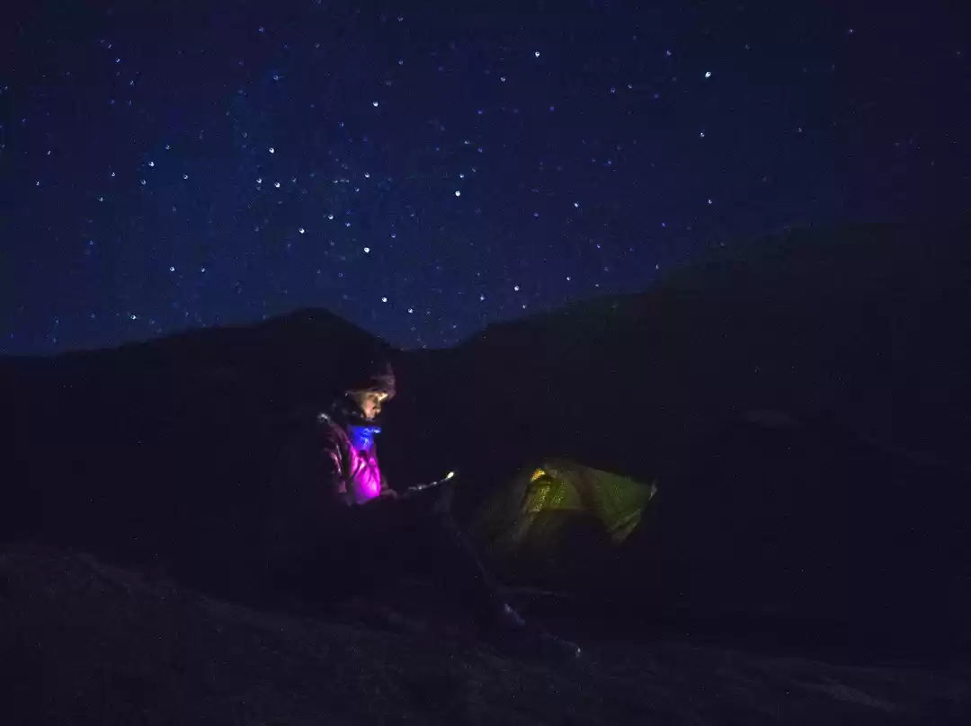 Photo of Where Can One Roam A