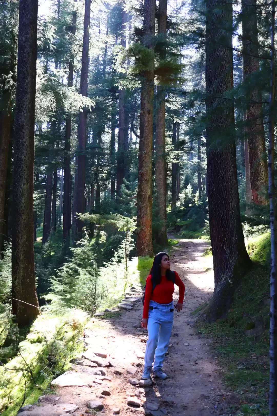 Photo of KALA PATTHAR TREK - 