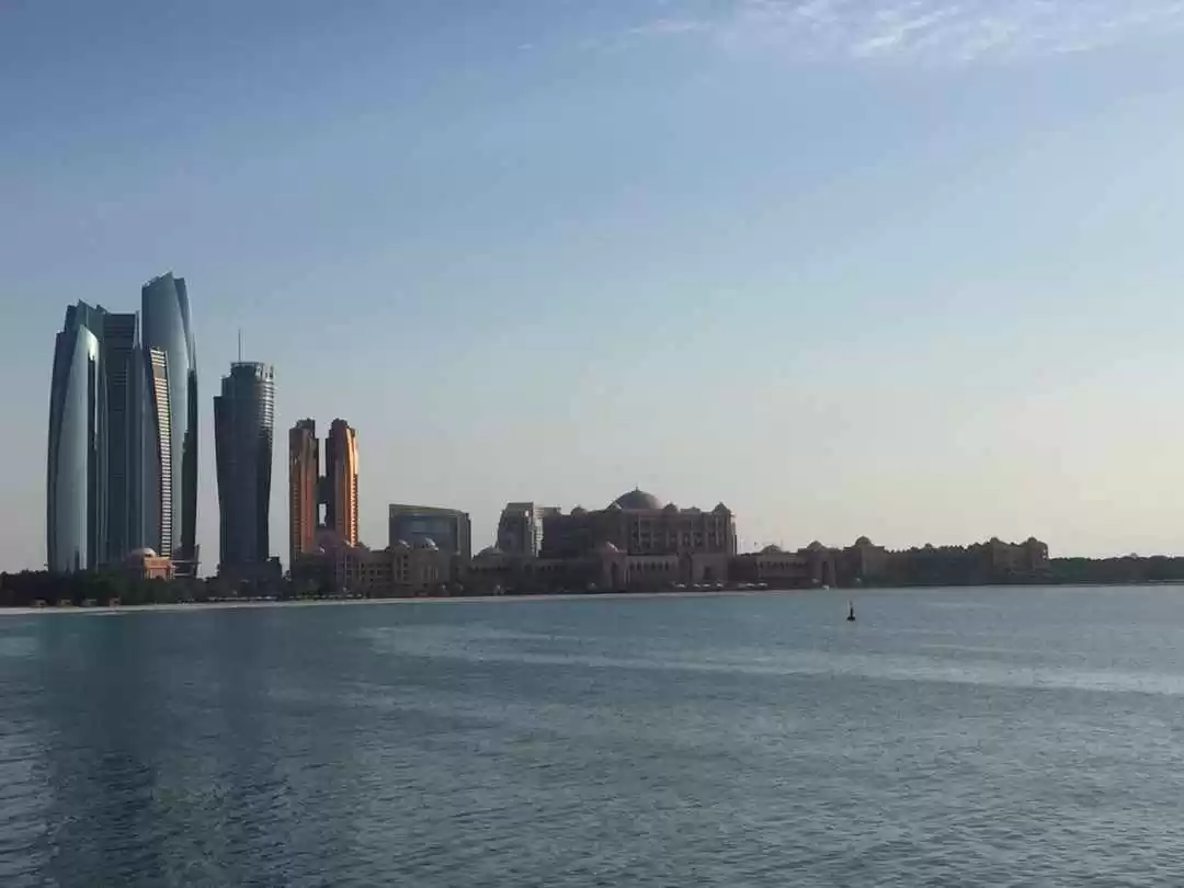 Photo of Delightful Dazzling 