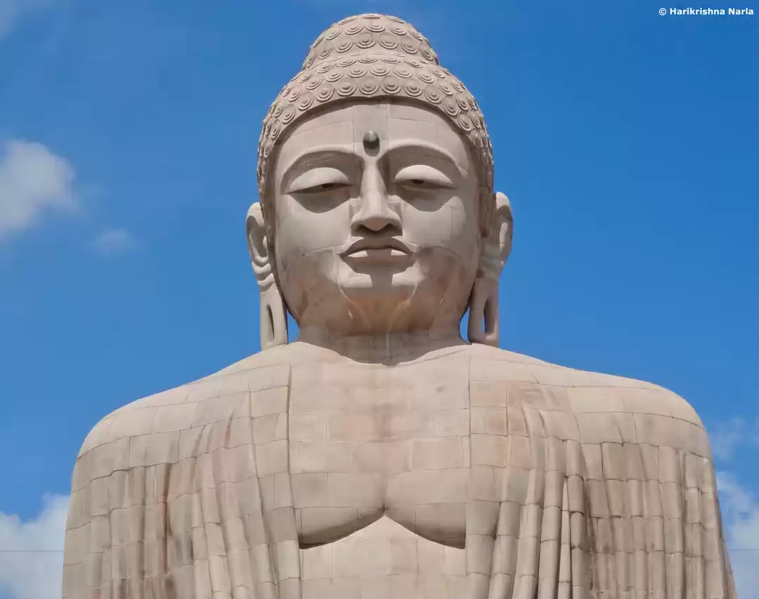 Photo of The Great Buddha, Bo