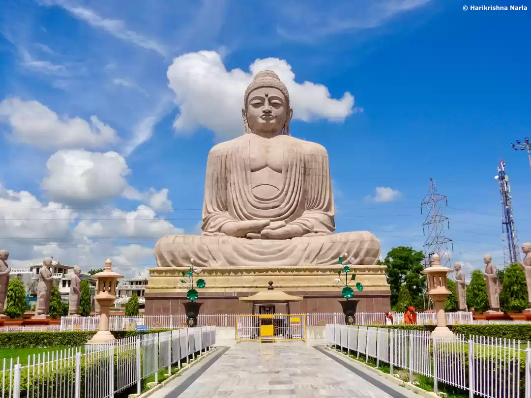 Photo of The Great Buddha, Bo