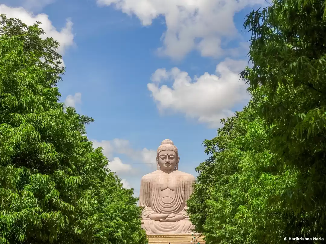 Photo of The Great Buddha, Bo