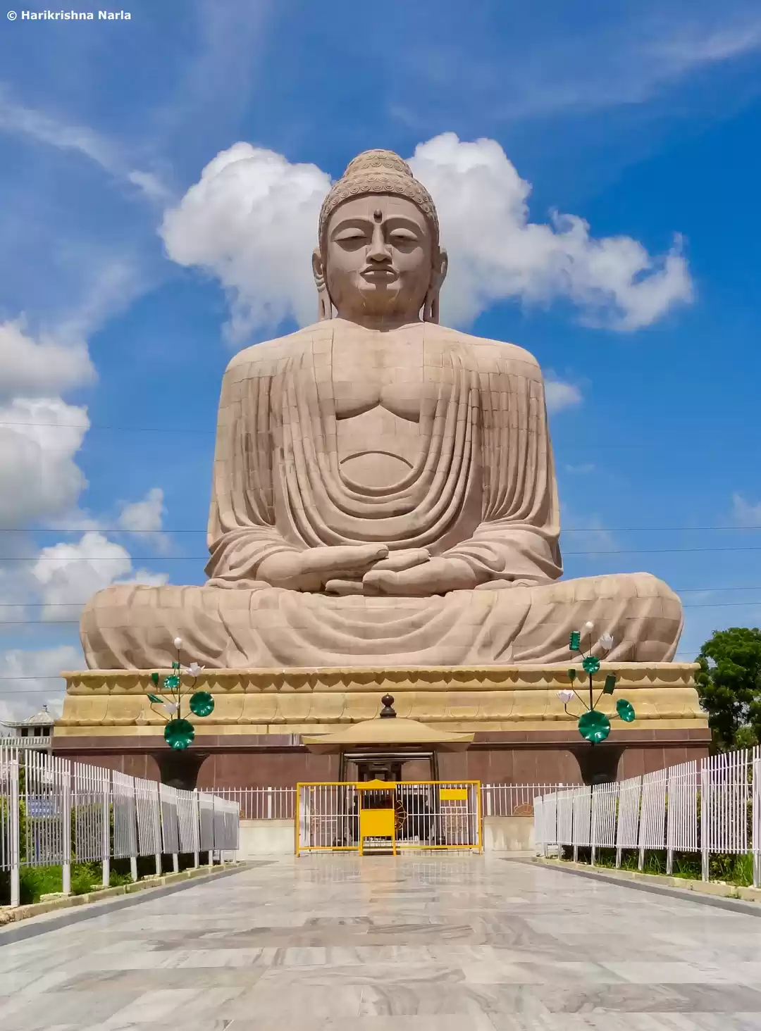 Photo of The Great Buddha, Bo