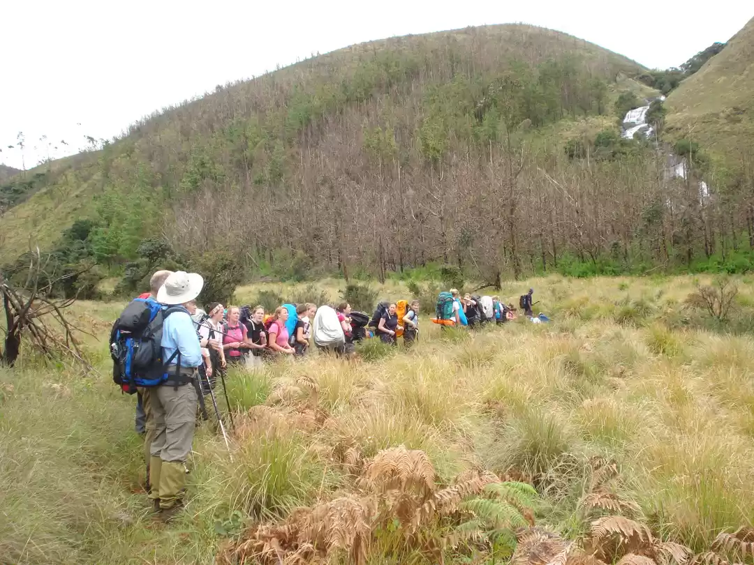 Photo of Tea & Wildlife Trail