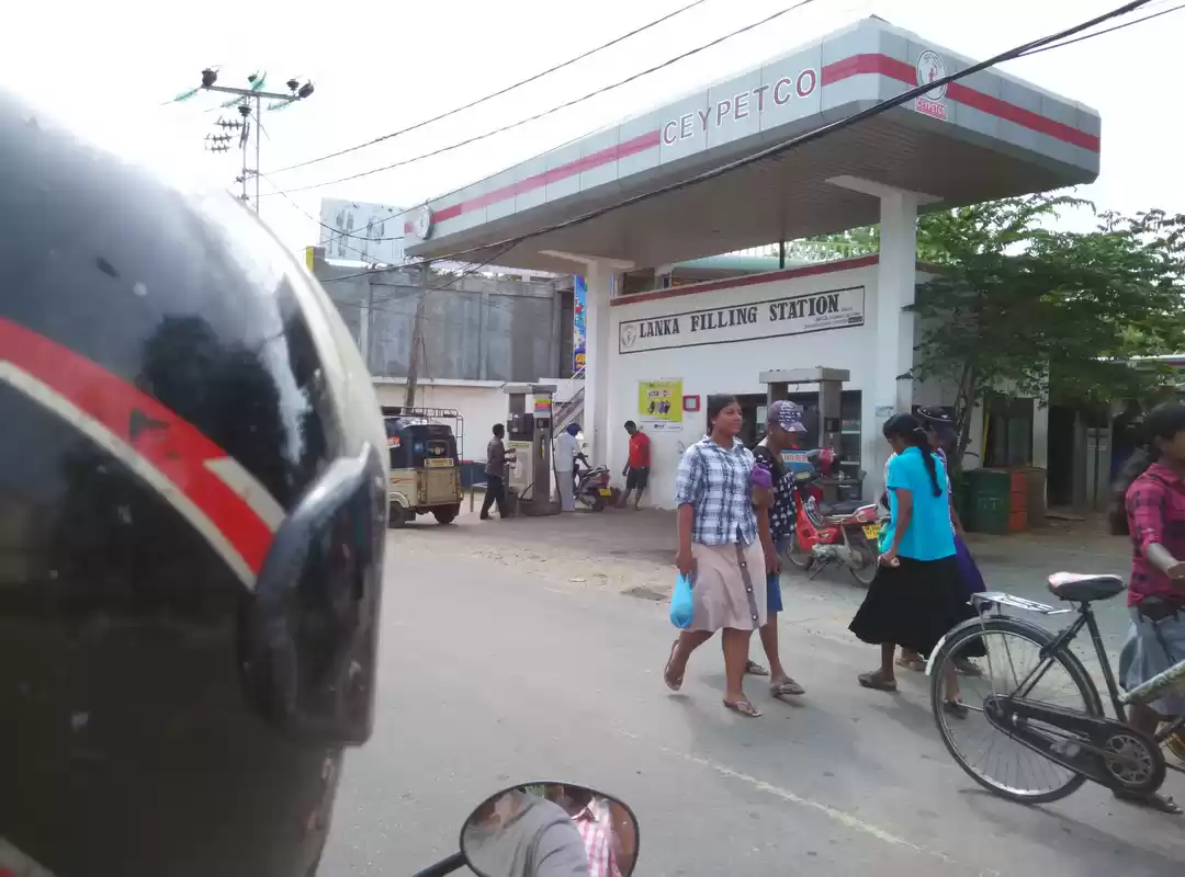 Photo of My Odd Life: What Ha