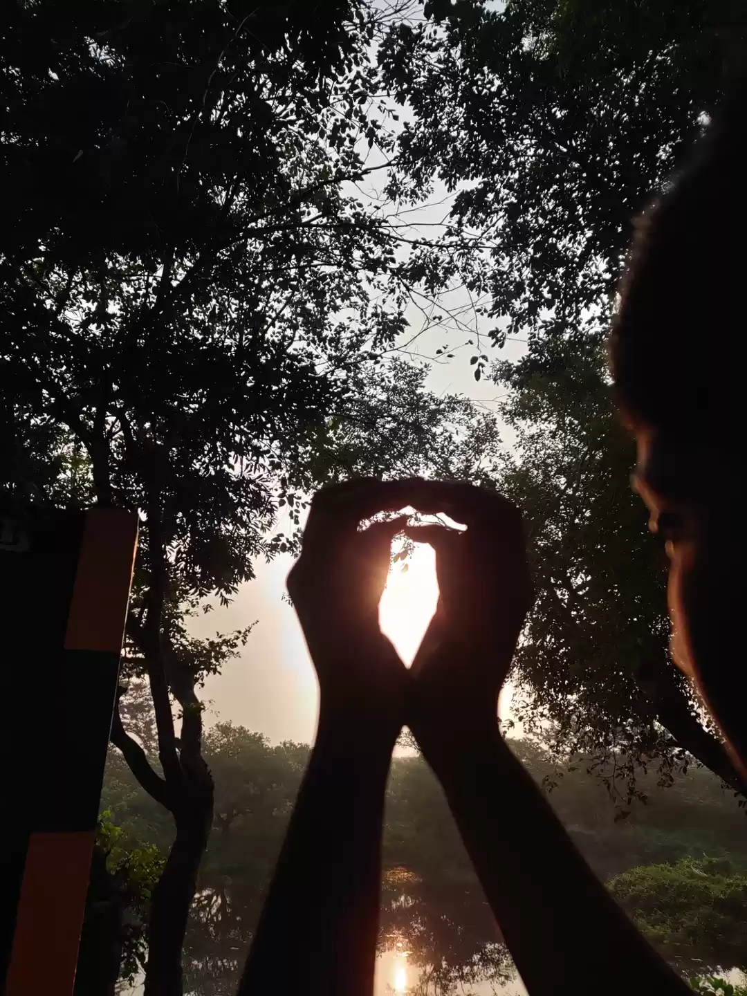 Photo of Vedanthangal Bird Sa