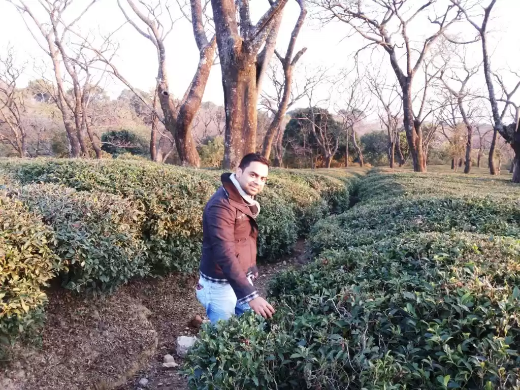 Photo of Dharamshala and Mcle