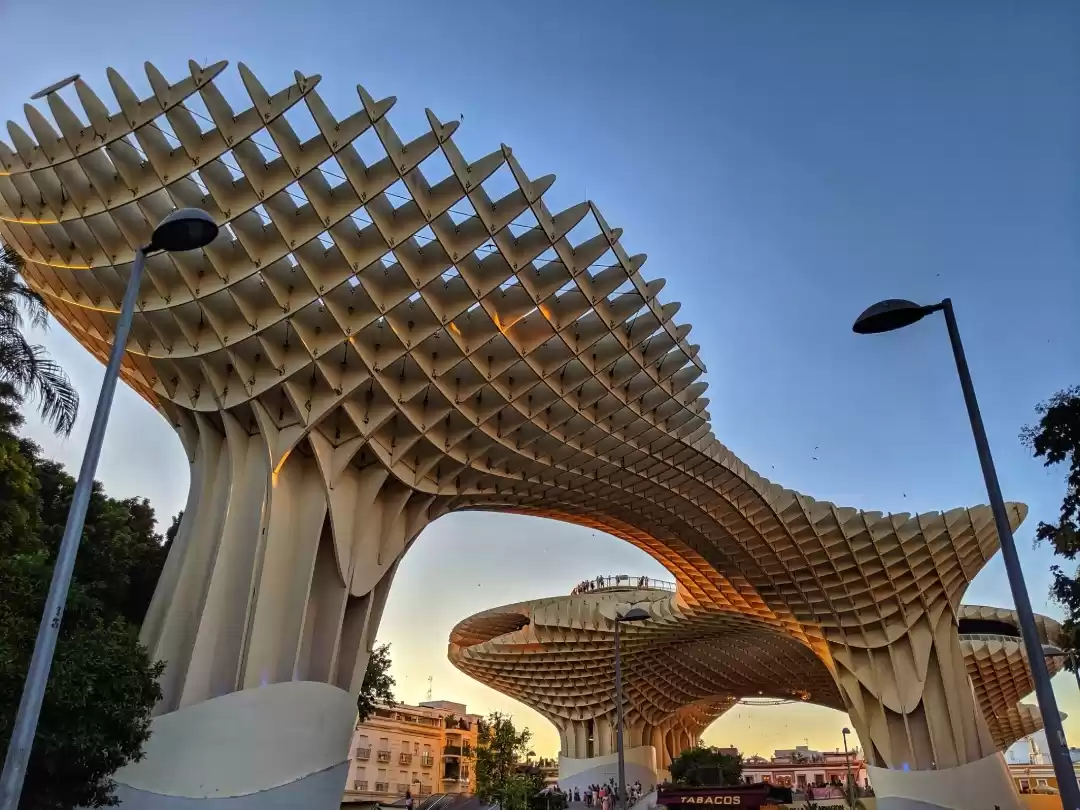 Photo of Setas de Sevilla
