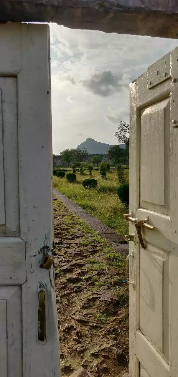 Photo of This Is the Only Gui