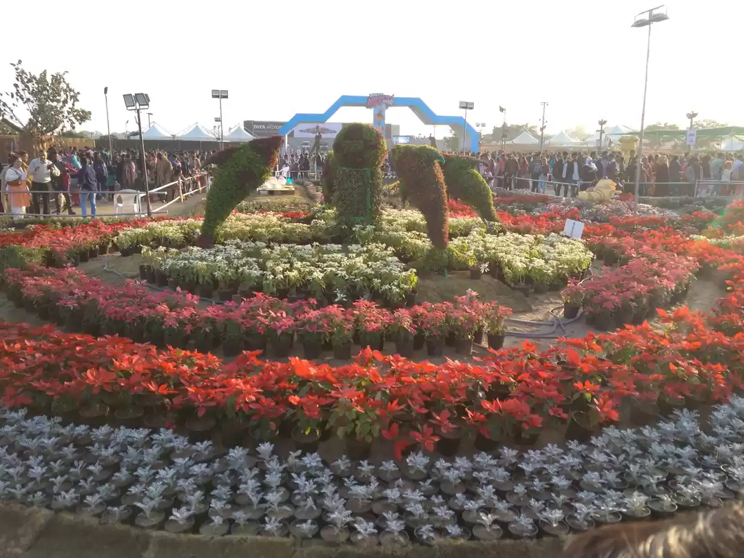 Photo of HERITAGE CITY AHMEDA