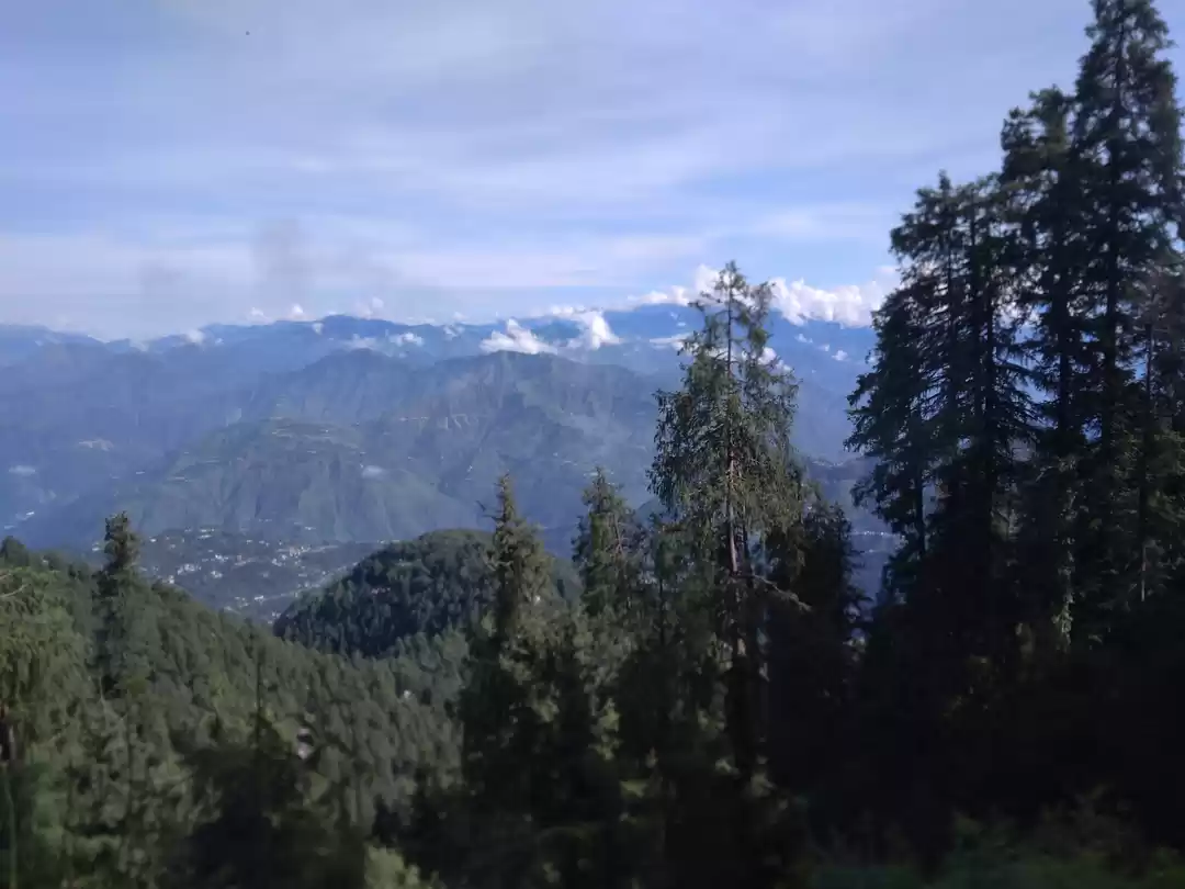 Photo of KALATOP FOREST, DELH