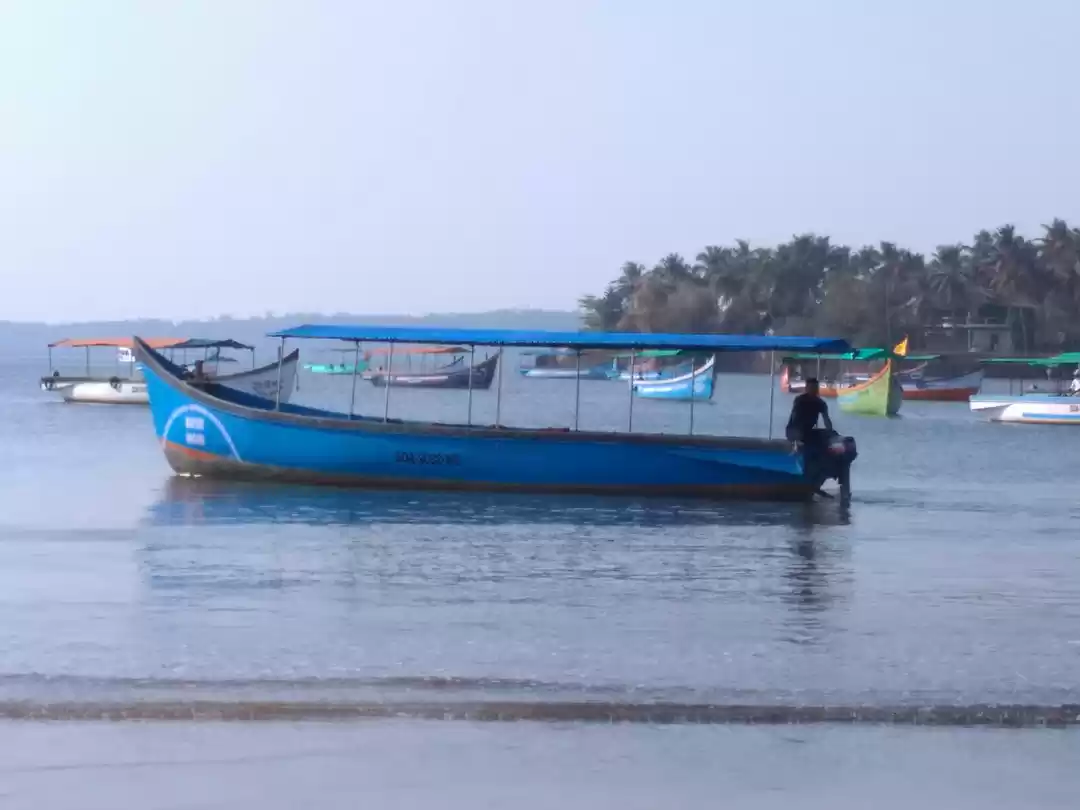 Photo of GO GO GOA (PART 2)