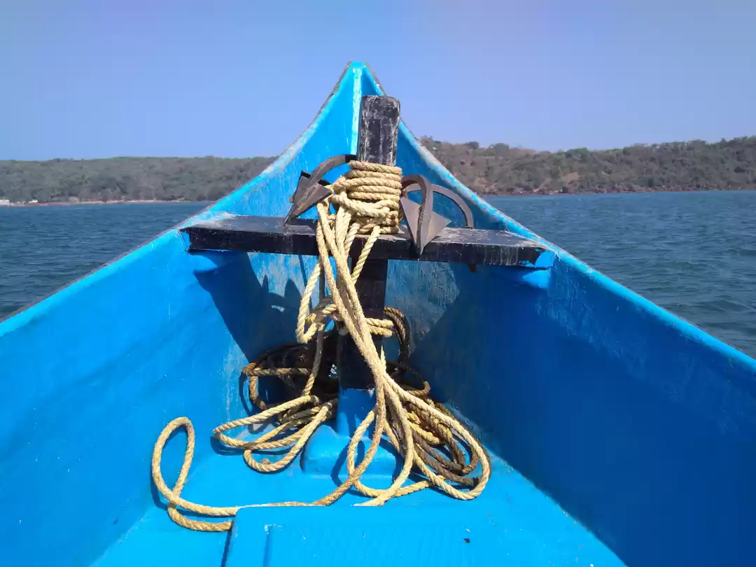 Photo of GO GO GOA (PART 4-A)