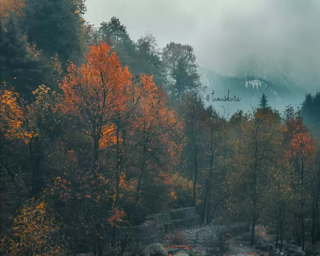 Photo of Vibes at Raison vill