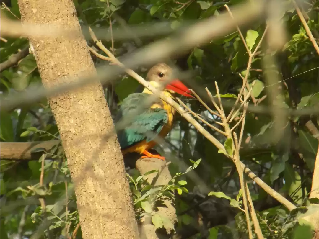 Photo of 15 min in Nepal, Tri