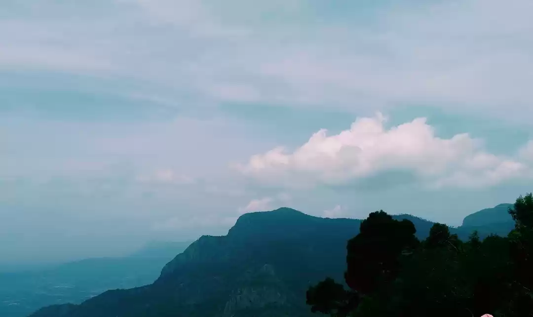 Photo of Ooty Diaries