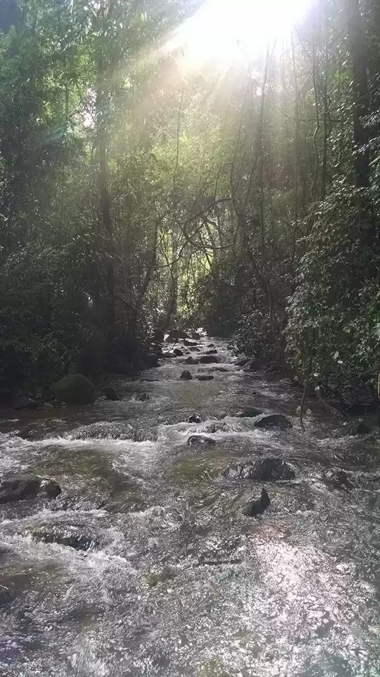 Photo of The next BIG THING a