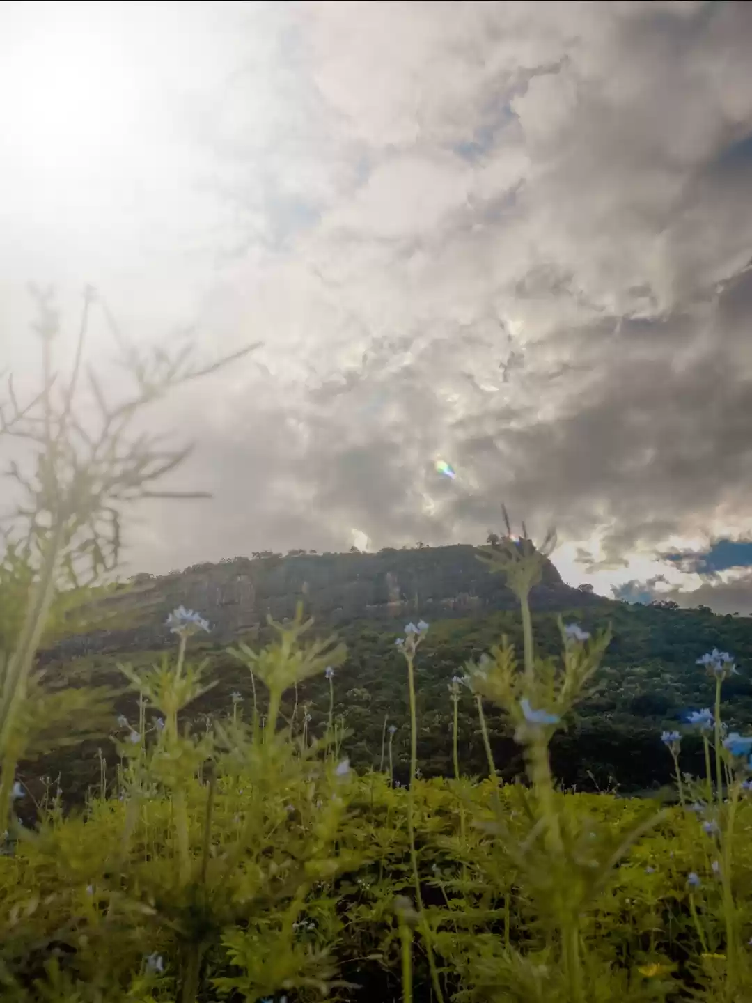 Photo of Junnar : Shivjanmabh