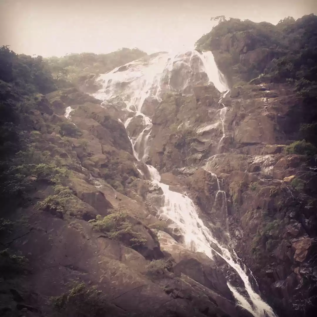 Photo of Goa - The Konkan Tre