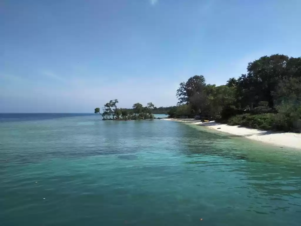 Photo of Did you knew about t