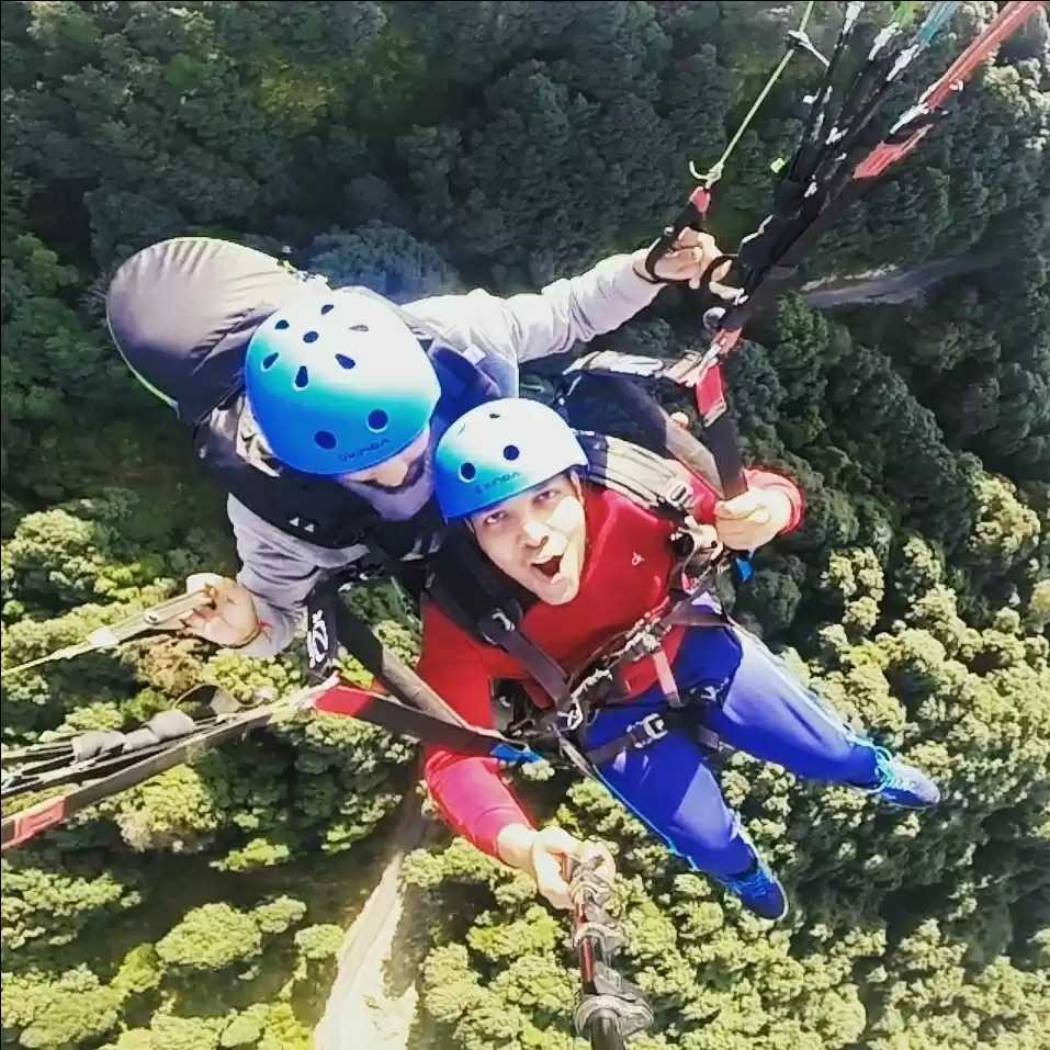 Photo of Hey Bird! Got My Win