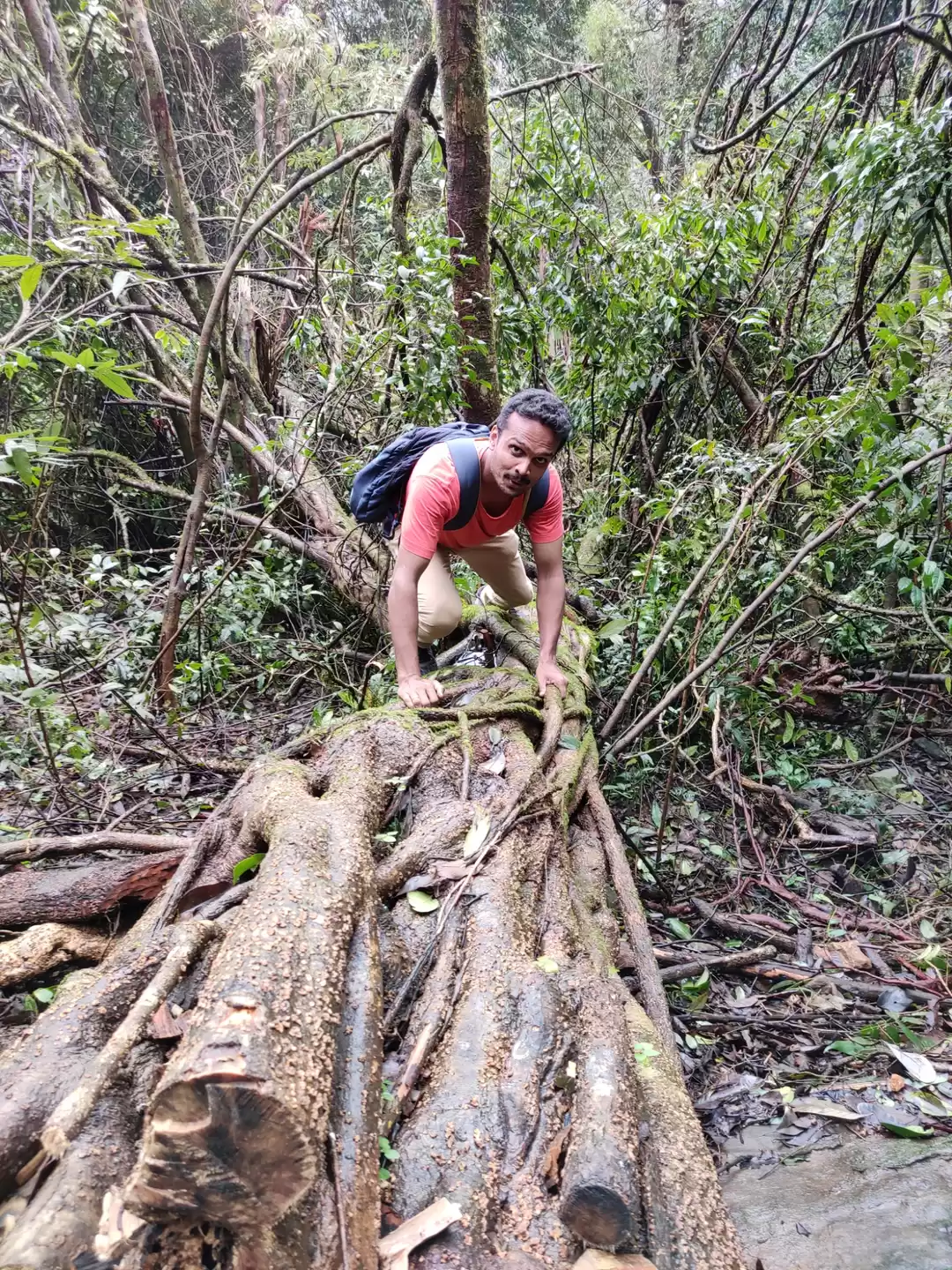 Photo of Paithalmala Trekking