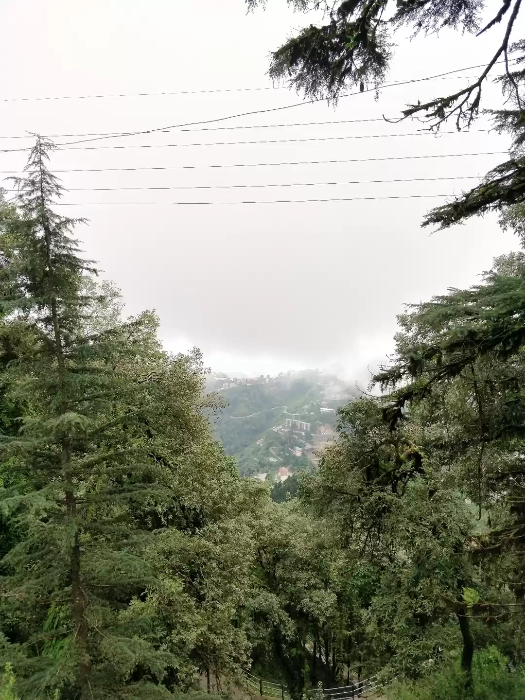 What is the winter line and how I witnessed its magic in Mussoorie - Tripoto