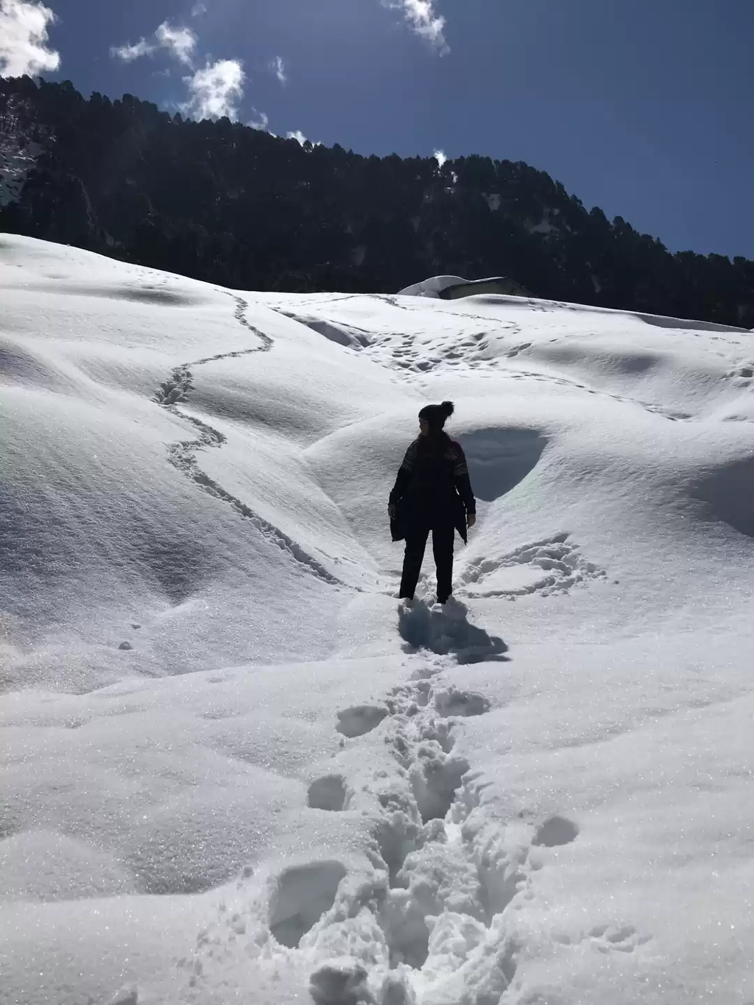 Photo of Chopta, Tungnath mah