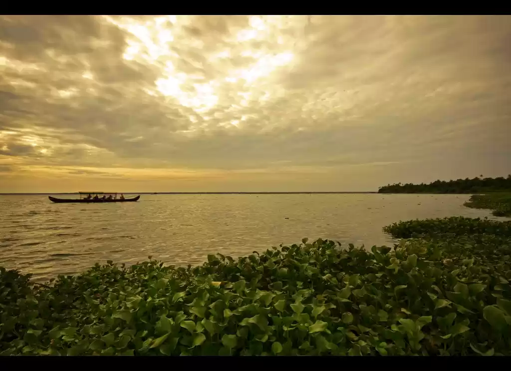 Photo of A Taste of Kerala :