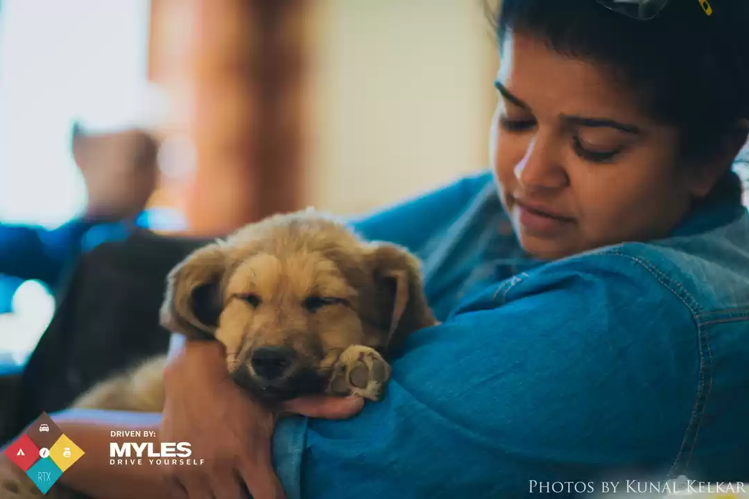 Photo of Know the Unknown wit