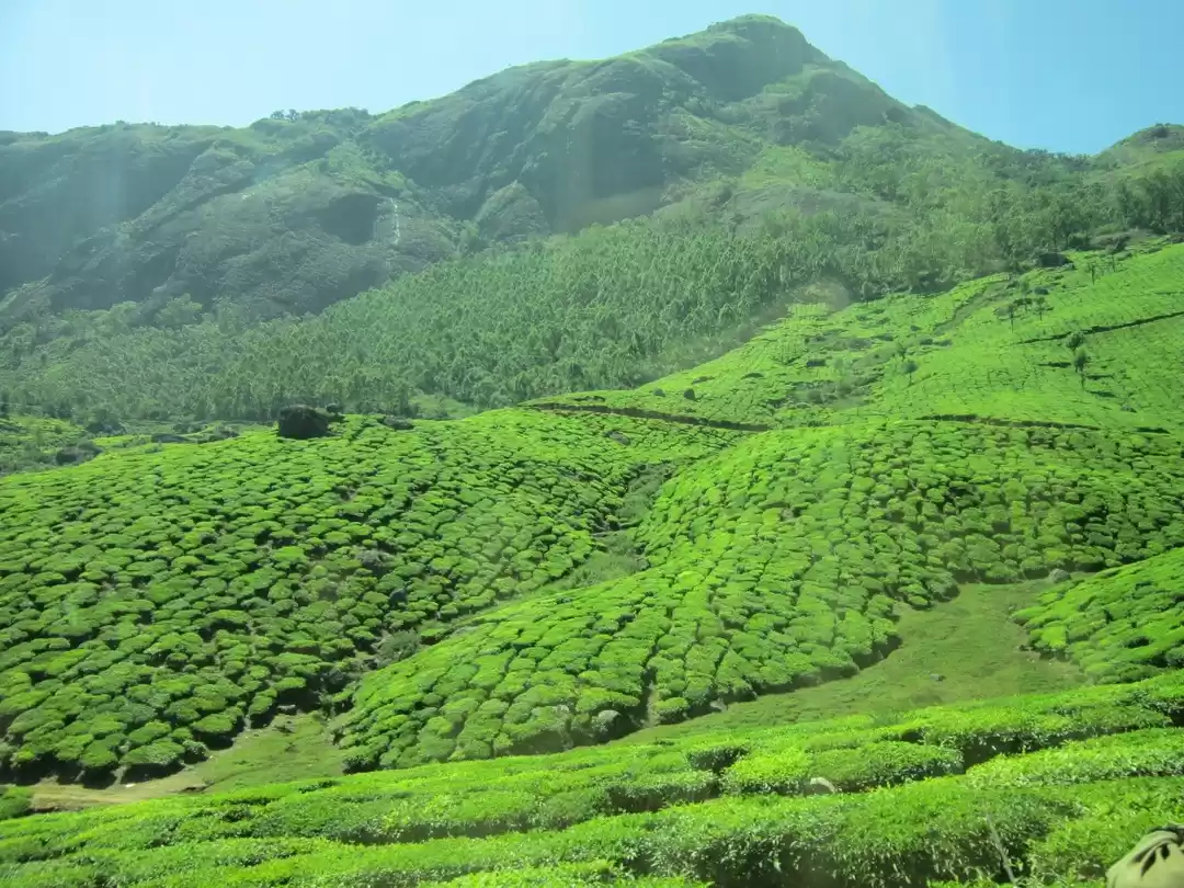 Photo of Enchanting Kerala #t