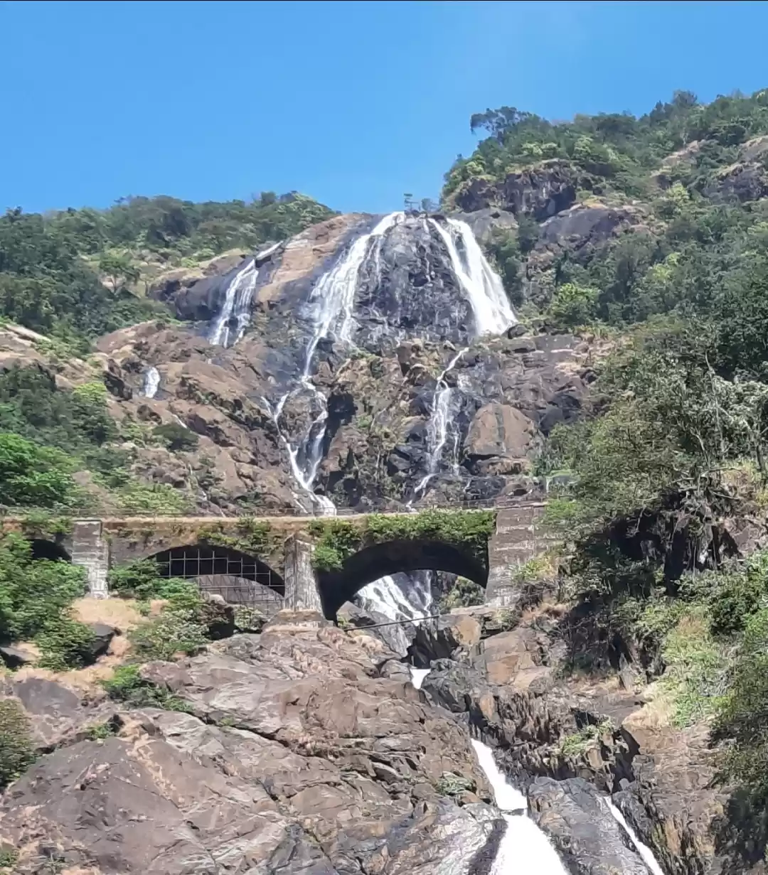 Photo of India's Tallest Wate