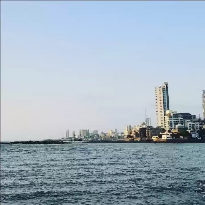 Photo of The home to lot of f