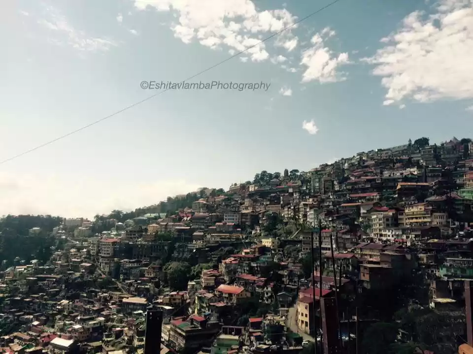 Photo of The Shimla Times