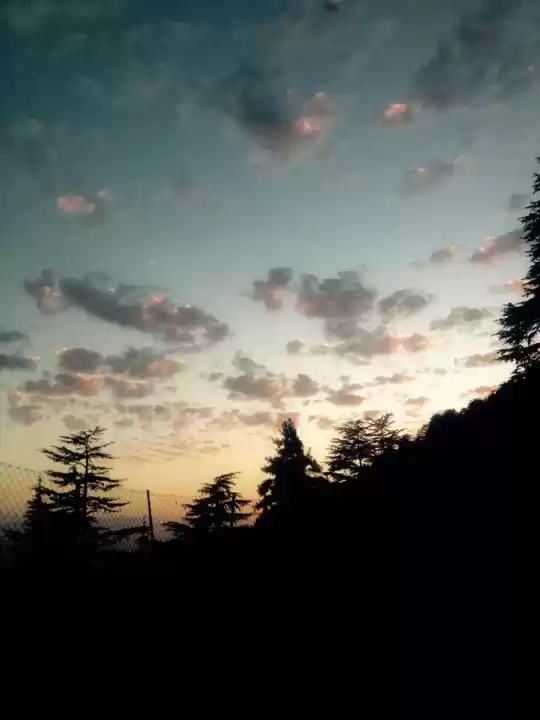 Photo of Kasauli – A mini hea