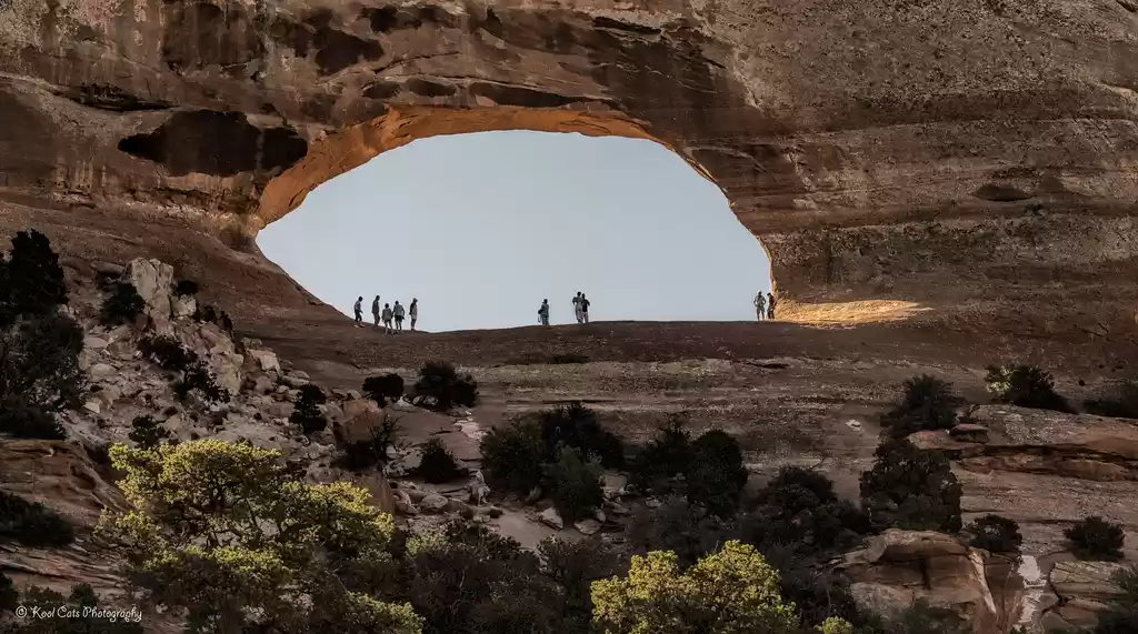 Photo of A Traveler's Guide t