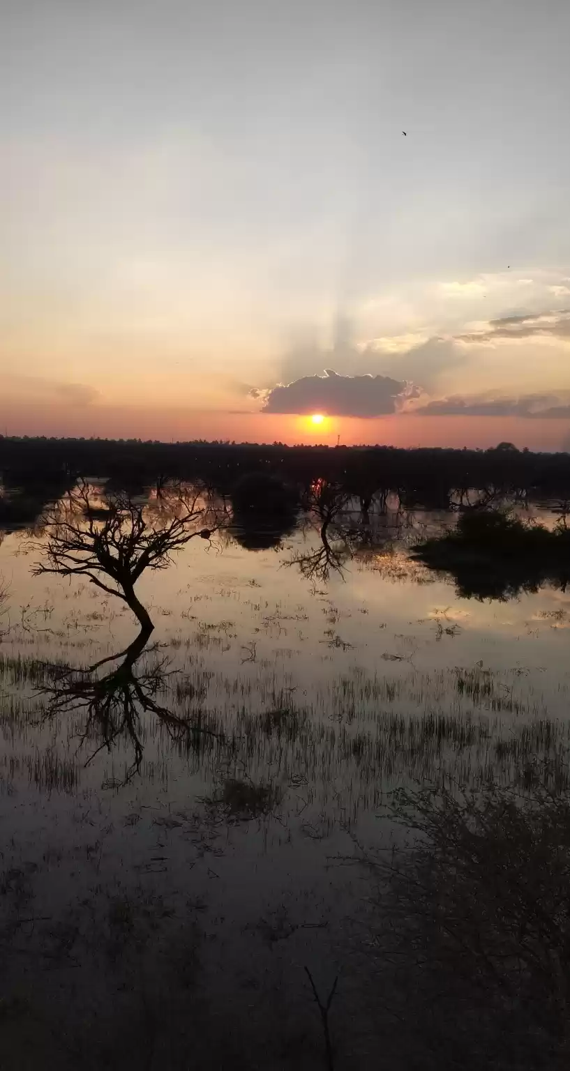 Photo of A Hidden Bird Paradi