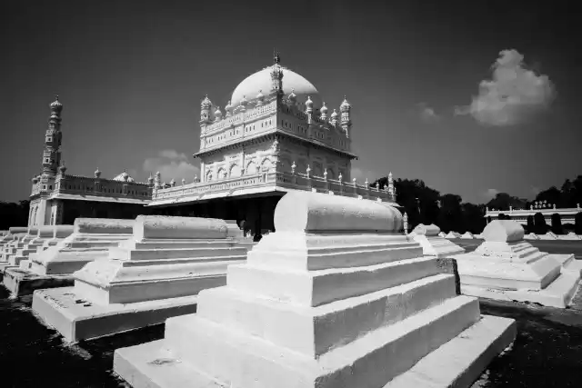 Photo of In the Lair of the T