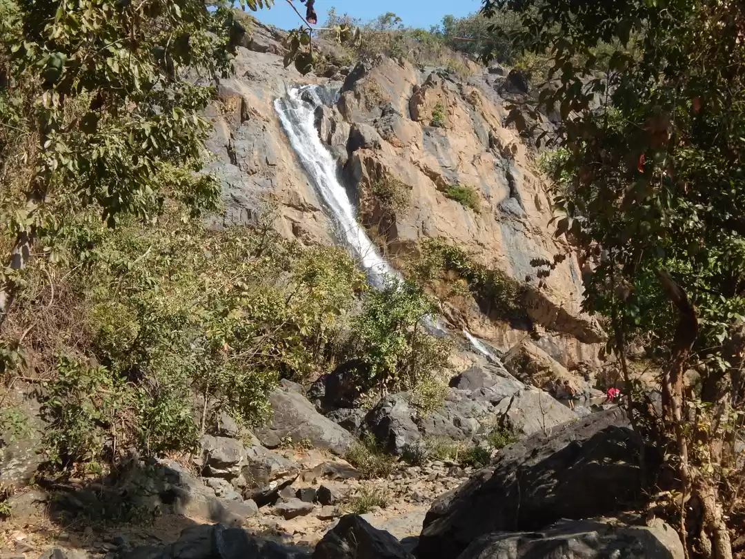 Photo of Nature is the art of