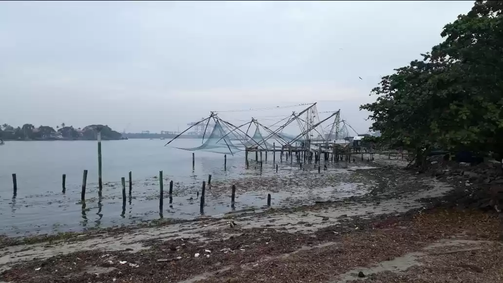 Photo of Kochi- Munnar: A jou