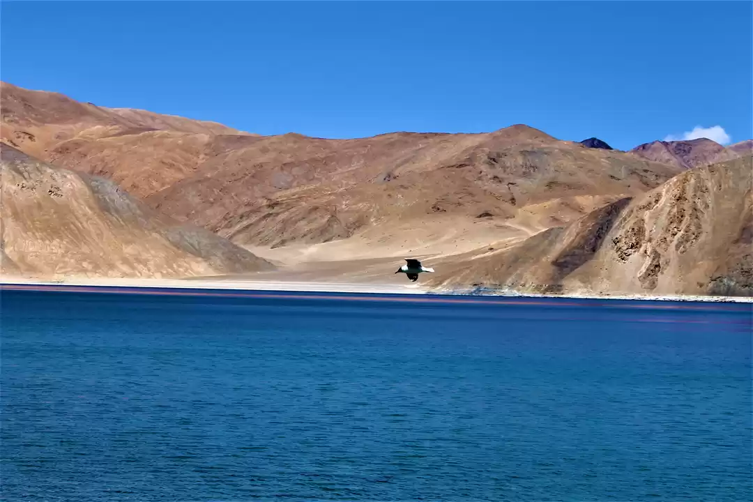 Photo of L A D A K H