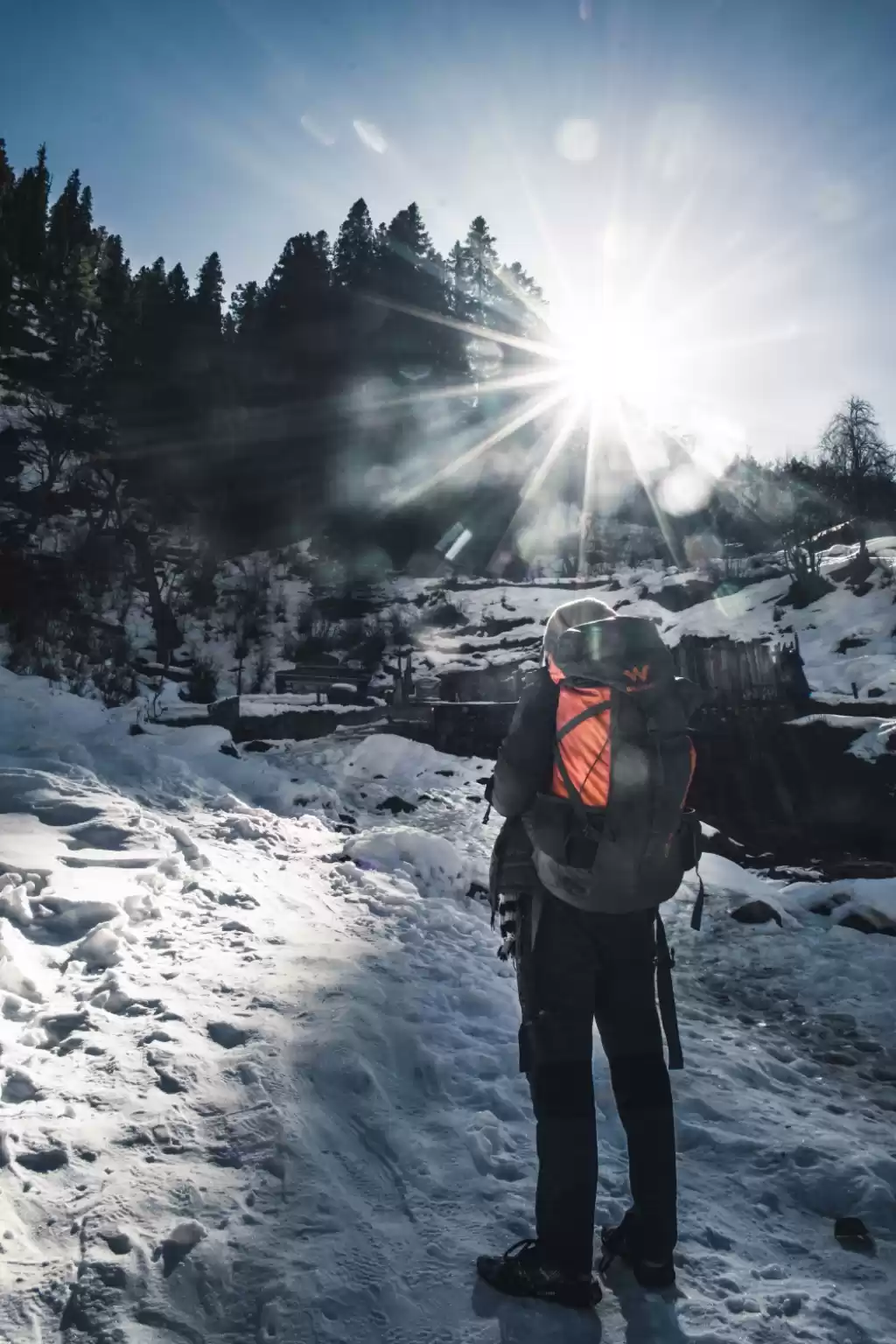 Photo of Parvati Valley in Wi