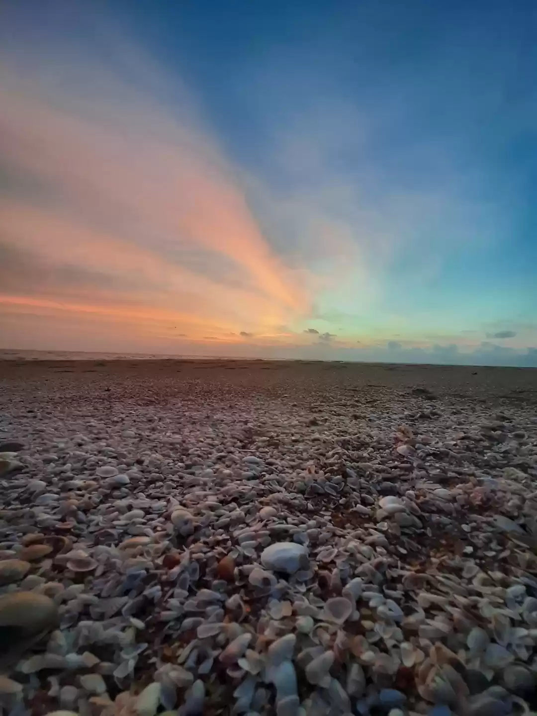 Photo of Beach 